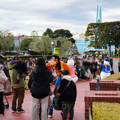 12月ディズニーランド混雑レポ：シンデレラ城プラザ前のグリーティング