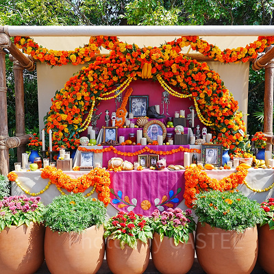 ラソス・デ・ラ・ファミリアのデコレーション