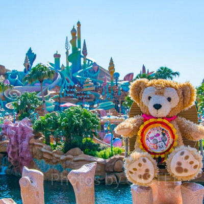 専用フォトスポット