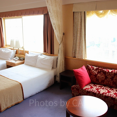 デラックスツイン①