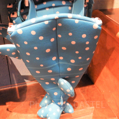 デスティニーのリュックサック