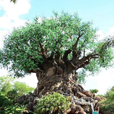ディズニー・アニマル・キングダム