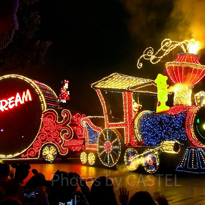 【ディズニーの事件簿】ケース6：一眼レフ激突事件