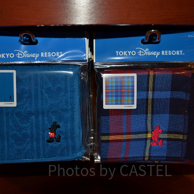 ディズニーコロナ対策の持ち物