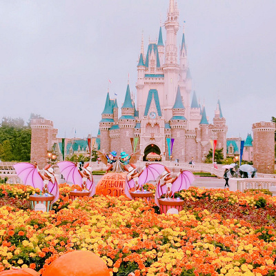 ディズニーカップル仮装まとめ