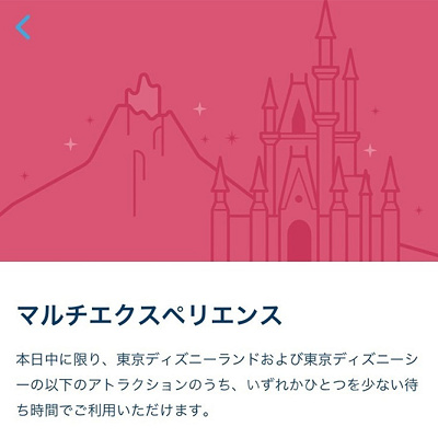 ディズニーマルチエクスペリエンス