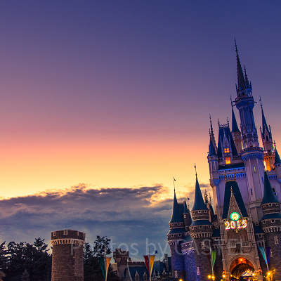 ディズニー年末年始2019-2020