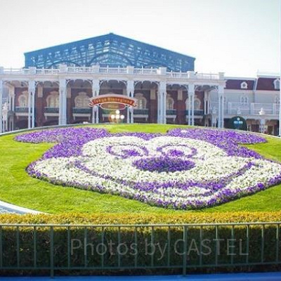 ディズニーワンダブルズ