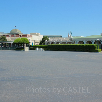 ディズニーの電話番号一覧