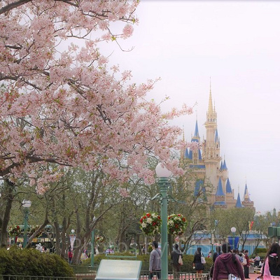 ディズニー花粉対策