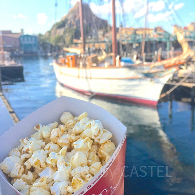 ディズニーシー食べ歩き：ポップコーン（ガーリックシュリンプ味）