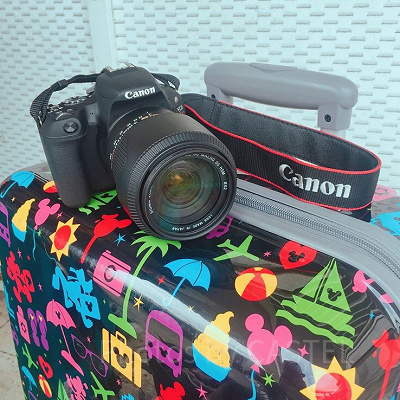 ディズニーのスーツケース