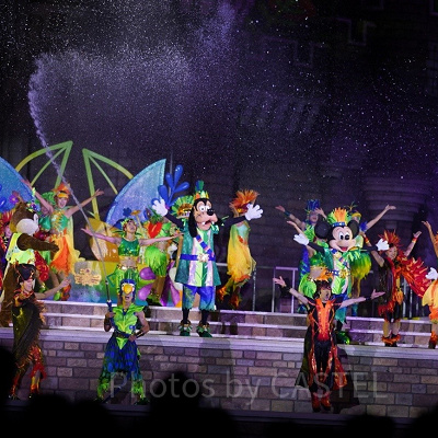 ディズニー夏5パスポート