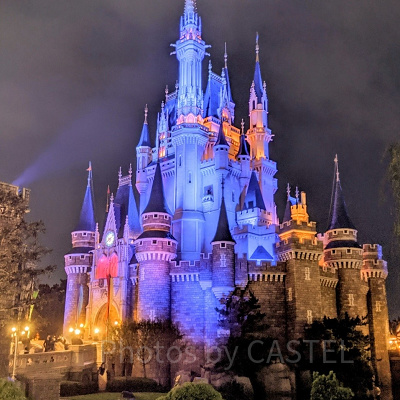 ディズニーチケット：割引・安く買う方法