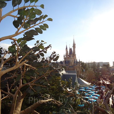 ディズニー雑学