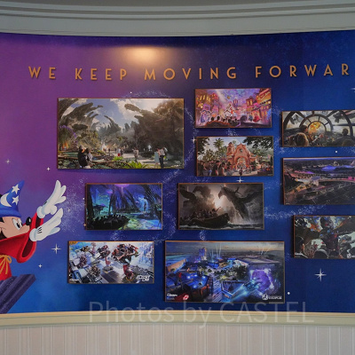 カリフォルニアアナハイムディズニー：持ち物