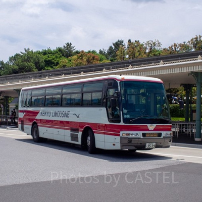 ディズニーランドのバス停