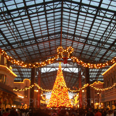 ディズニーランドのクリスマス