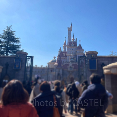 ディズニーランド混雑状況の現地レポート：アトラクション