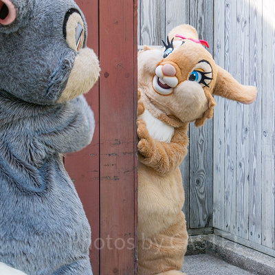 ディズニーランドデート