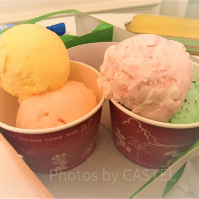 ディズニーランド食べ歩き：アイスクリーム