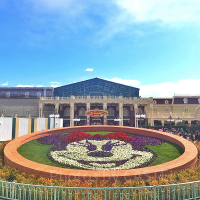 ディズニーランドのエントランスの花壇