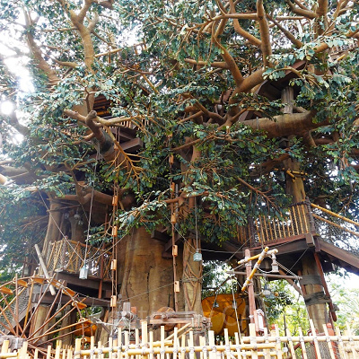 ディズニーランドプロポーズ場所：スイスファミリー・ツリーハウス