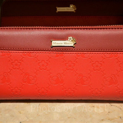 ディズニーランドの財布