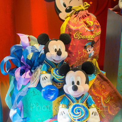 ディズニーランド35周年のコスチュームがかわいい♡
