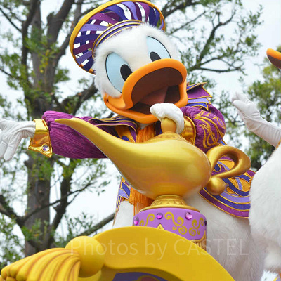 ディズニーの大人気キャラクタードナルドダッグ