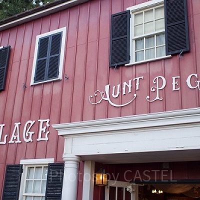 ディズニーシー20周年記念！ダッフィーのドールハウスをご紹介！