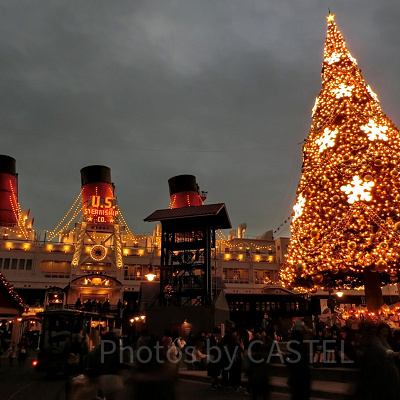 ディズニーシーのクリスマスツリー