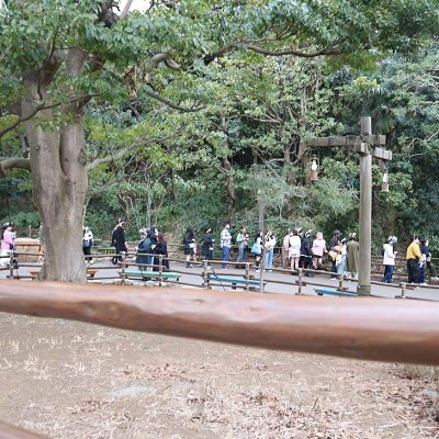 ディズニーシー3月混雑状況レポート：インディ・ジョーンズの待ち列（13:30頃）