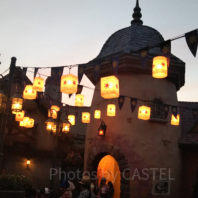 フロリダにはラプンツェルの塔がある？