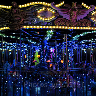 ドルフィンパーティー