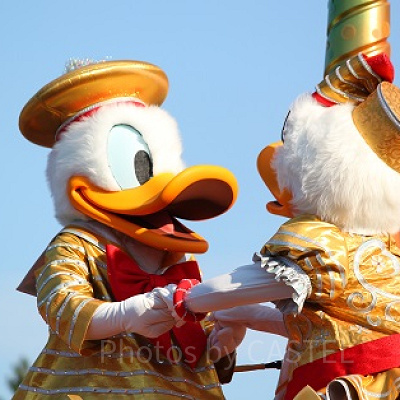 ドナルドとデイジー