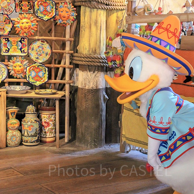 ドナルドダック