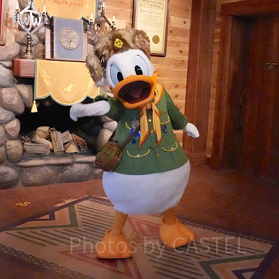 ドナルドダック