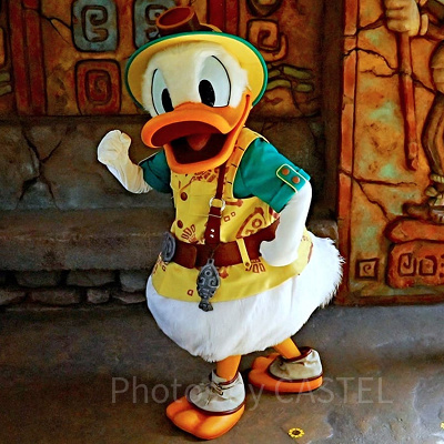 ロストリバーデルタのドナルド