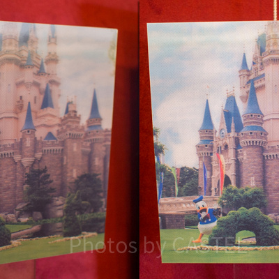 ドナルドフォトパネル