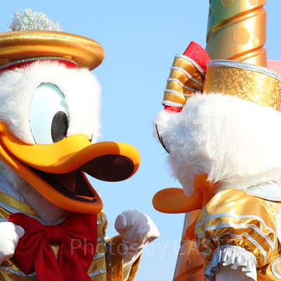 ドナルドの名言⑥：「多分僕はただのアヒルだけど、僕は人間だぞ！」