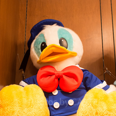 ドナルドぬいぐるみ（Lサイズ）