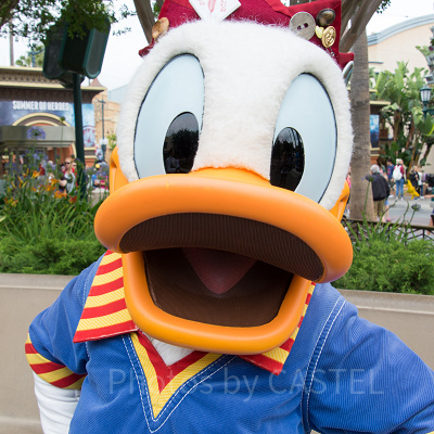 ドナルドの名言①：「グワッ！グワッ！」