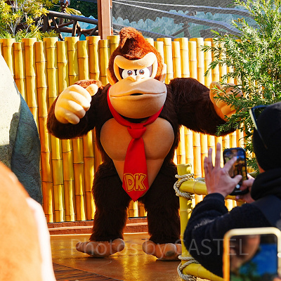 ドンキーコング