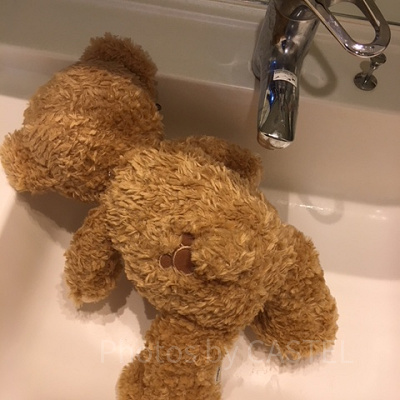 裏も忘れずに！