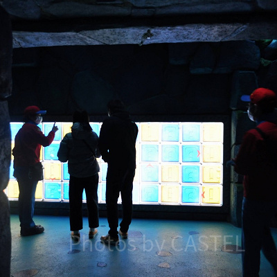 ドッスンフリップパネル