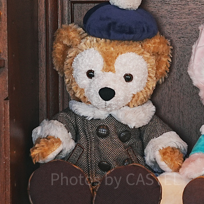 ダッフィーぬいぐるみコスチューム（ダッフィー＆フレンズのウィンター・トゥインクリング・タウン）