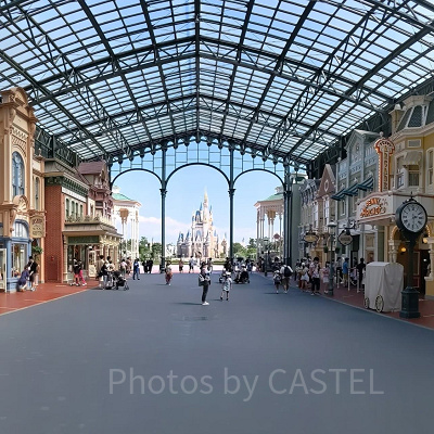 空いているディズニーランド