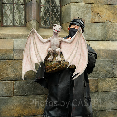 USJ魔法生物との出会い/ベビードラゴン