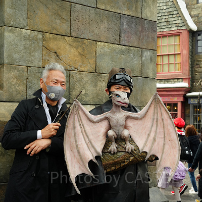 USJ魔法生物との出会い/ベビードラゴン